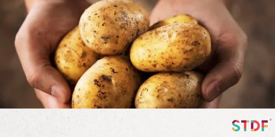 Article featured image