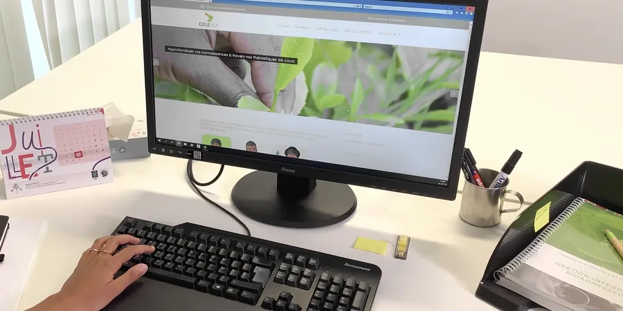 Article featured image