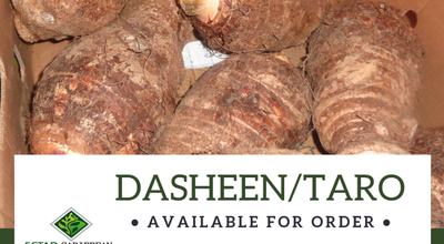 dasheen-taro-order-contact