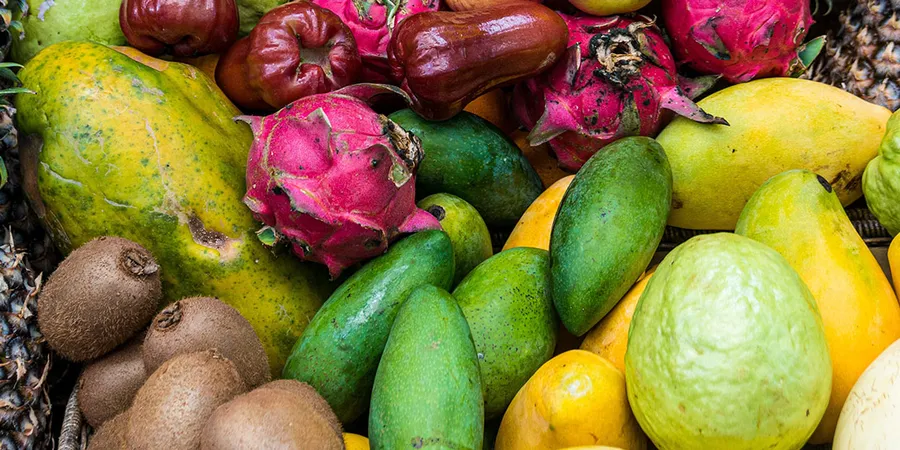 Article featured image