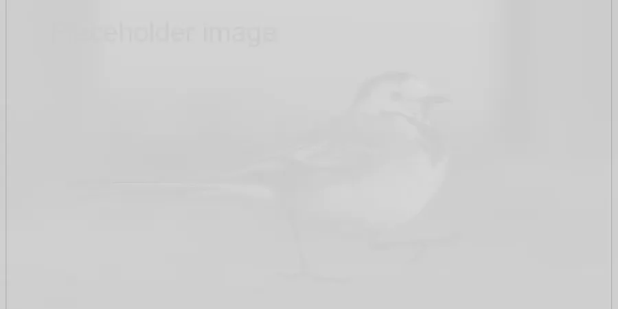 Placeholder image